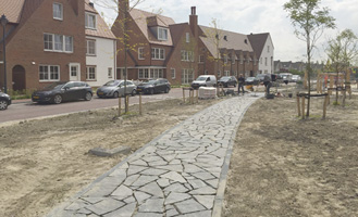 First neighborhood in Tudor Park nears completion
